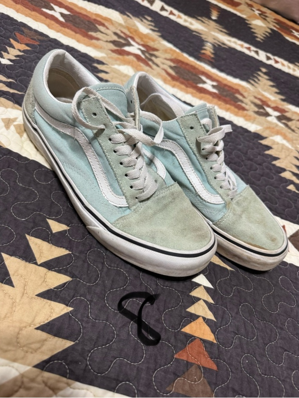 Vans Low Top Sneakers in Mint & White